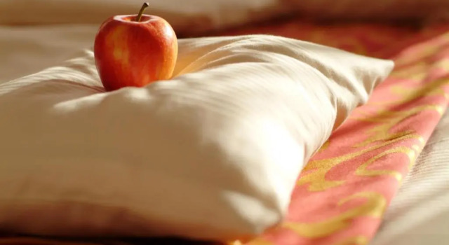 Номер Standard Hotel & Restaurant Walfisch