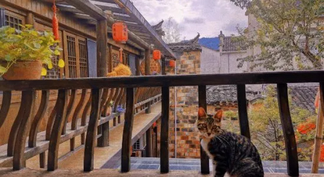 She De Yuan Boutique Homestay, Забронировать Бутик-отель Недорогие отели Хуаншань, недорого