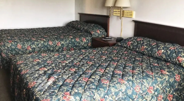 Номер Executive Neva Jean Motel