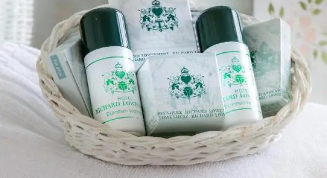 Номер Standard Hotel Richard Löwenherz