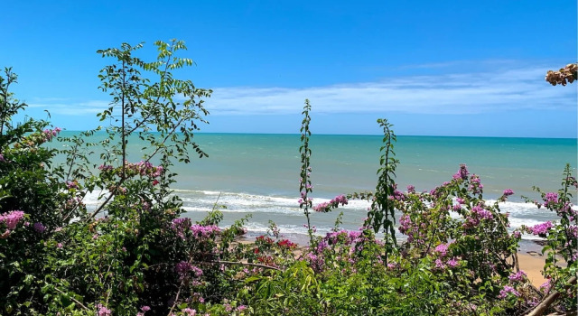 Апартаменты Residencial Del Mar