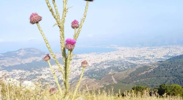 Коттедж с 2 комнатами CASA 3T a Isola a 15 min dal centro di Palermo