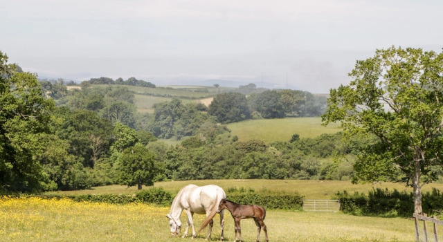 The Stables, Book Feriehus Hoteller i Taunton med parkering, Parkering