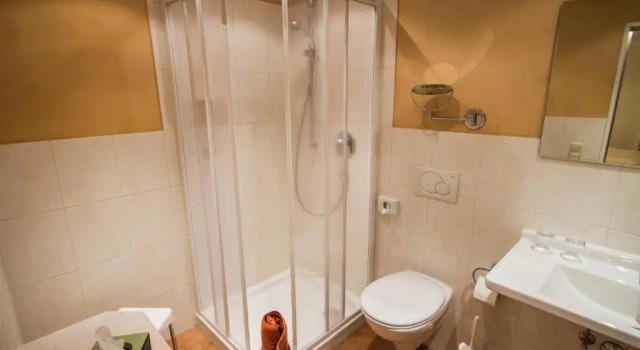 Одноместный номер Standard с балконом Gästehaus Linsinger