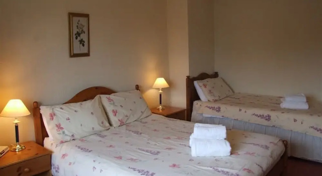 Номер Standard Cefn Uchaf Guesthouse