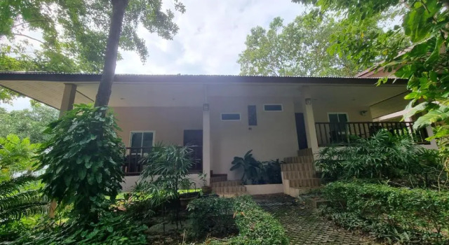 PawPaw Resort