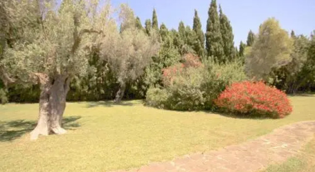 Holiday Home La Cartuja