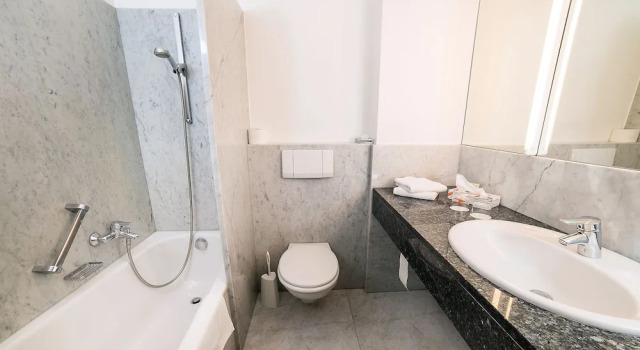 Одноместный номер Standard с видом на сад Fontana Hotel Wiesbaden