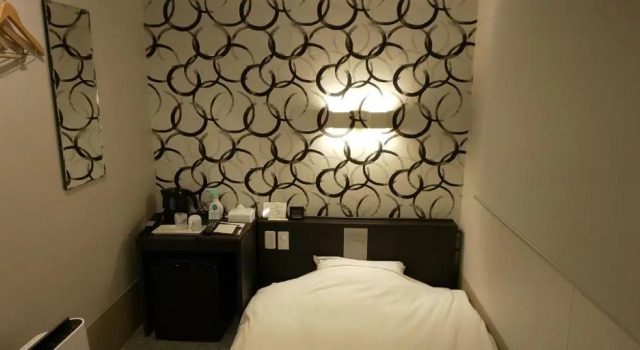 Одноместный номер Economy Ueno First City Hotel
