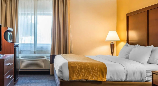 Номер Standard Quality Inn & Suites Zanesville City Center