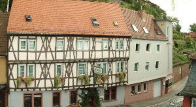 Hotel Goldener Karpfen