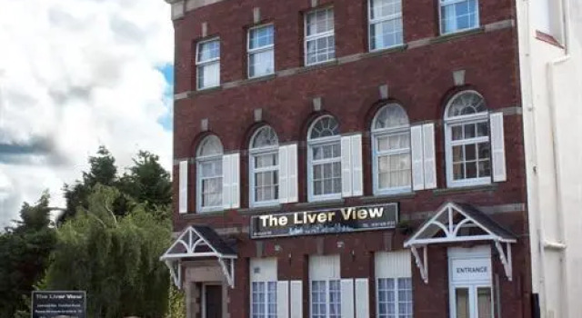 Номер Standard The Liver View