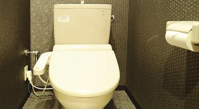 Номер Comfort Satomo Ryokan