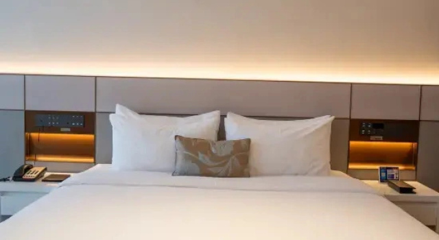 Люкс Business New Jinlong Hotel
