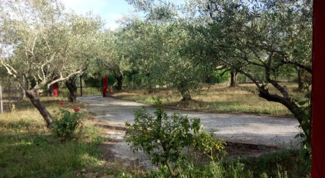 Eva's House, Забронировать Отель Отели периферии Ионических островов с парковкой, Парковка