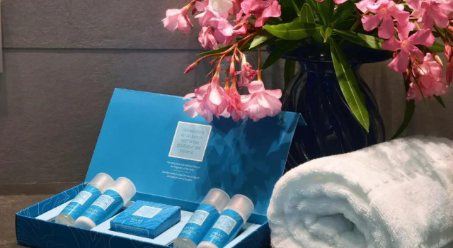 Двухместный номер Standard Hotel Monte Baldo e Villa Acquarone