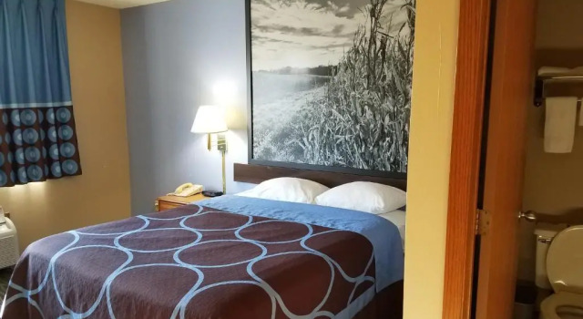 Двухместный номер Standard Hotel Pommier Chariton