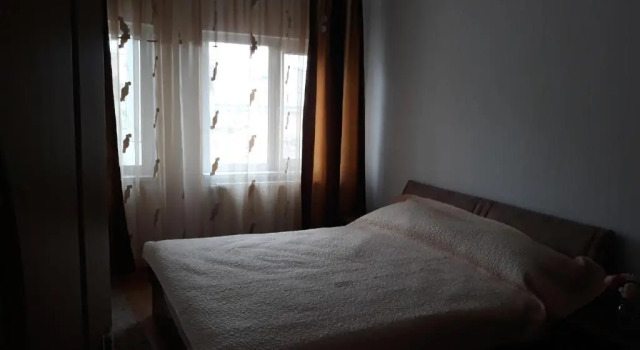 Nicolae Romanescu Park, Prenota Hotel Hotel economici a Dolj