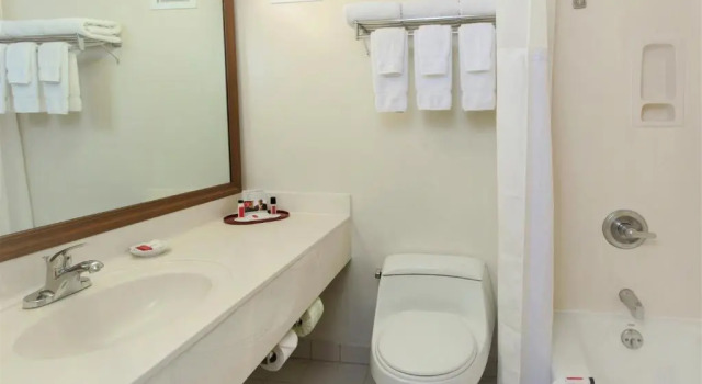 Номер Standard с балконом Ramada Plaza by Wyndham Waikiki