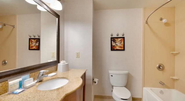 Номер Standard Hampton Inn & Suites Show Low-Pinetop