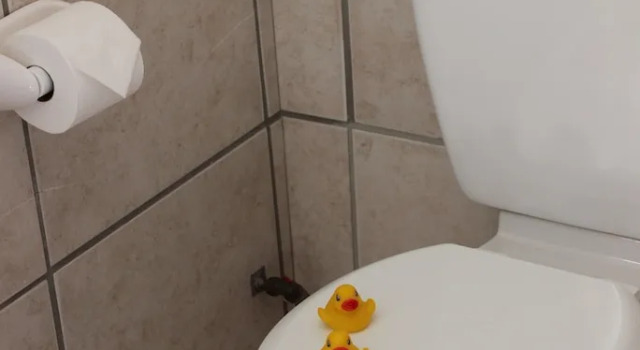 Апартаменты 88 Baron van Reede Guesthouse