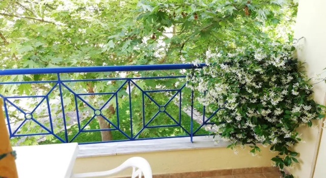 Студия Hotel Giorgio