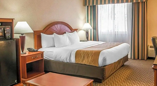 Люкс Superior Comfort Inn & Suites Pittsburgh Fox Chapel