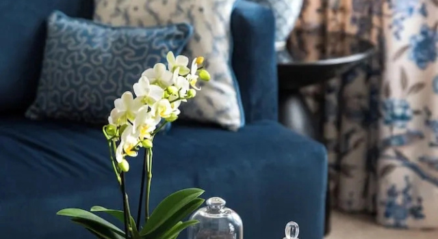 Люкс Newly renovated Boutique Hotel Vier Jahreszeiten in the heart of Salzburg
