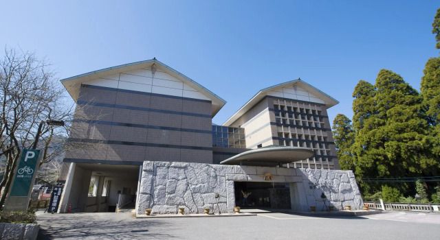 Одноместный номер Standard Hotel Takachiho