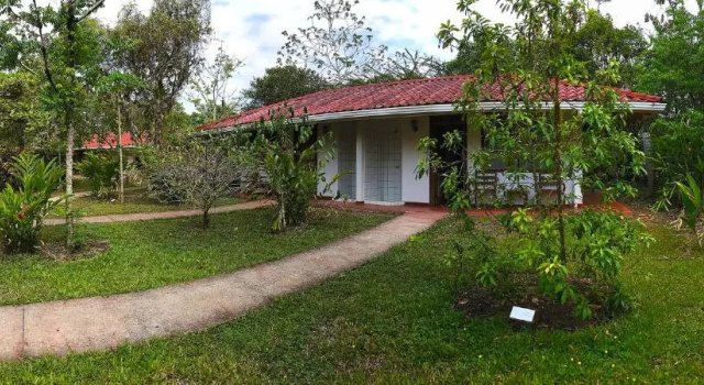 Номер Standard Hotel de Campo Caño Negro