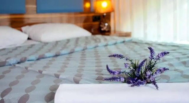 Одноместный люкс Sakarya Grand Hotel
