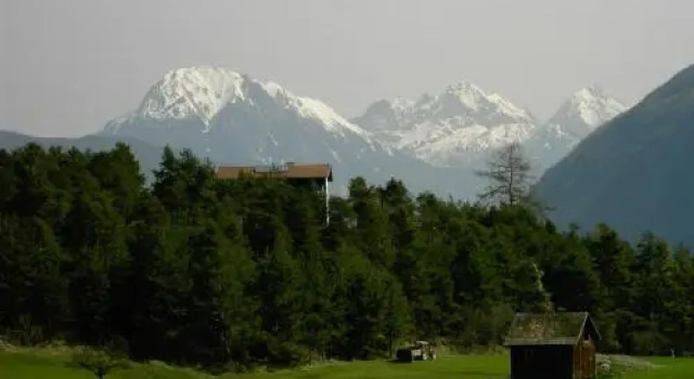 Hotel Alpenblick, Забронировать Отель Отели Тироля с бассейном, Бассейн