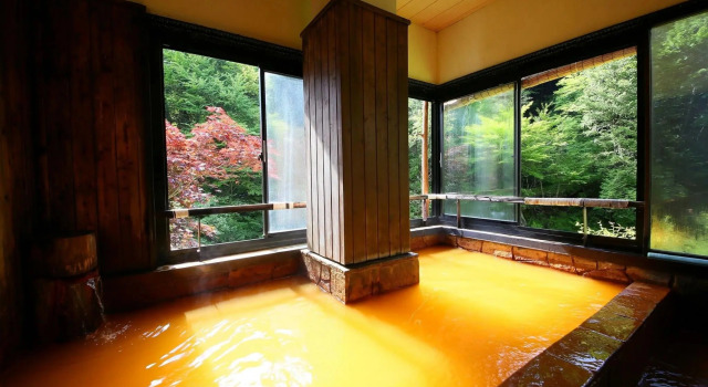 Клубный номер Standard с видом на горы Yama no Yado Meiji Onsen