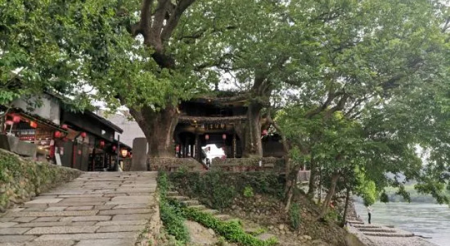 Ye Shang B ＆ B