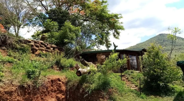 Шале Bushwhacked Barberton