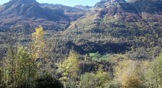 Номер Standard Roulottes Montagne Pyrenees