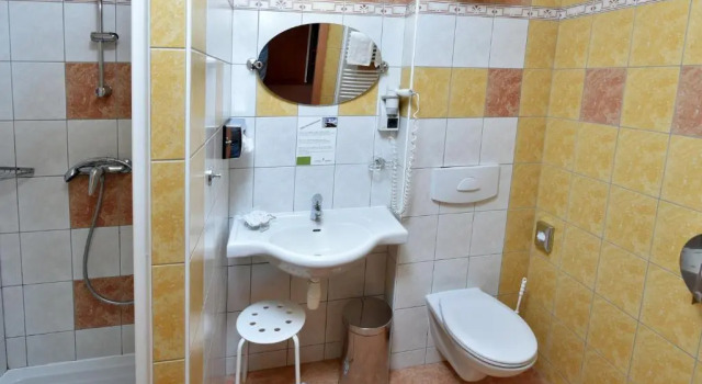 Двухместный номер Standard Hotel Břízky