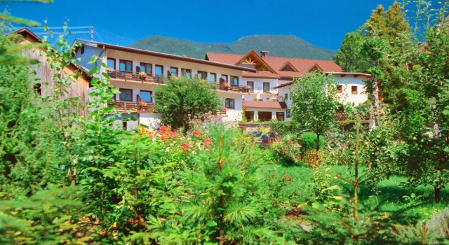 Номер Standard Hotel Pension Birkenhof