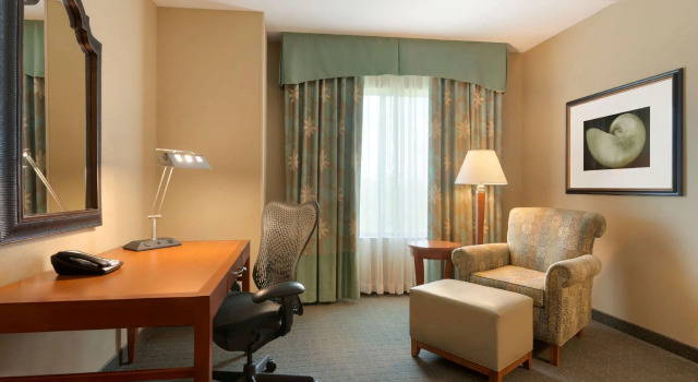 Двухместный номер Standard Hilton Garden Inn Palm Coast Town Center