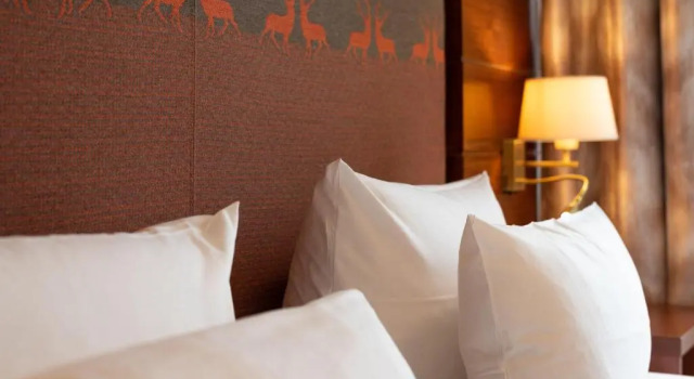 Полулюкс Robenstein Aktivhotel & SPA