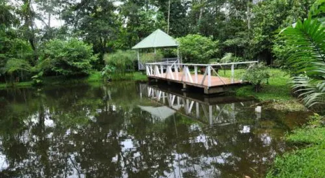 Terra Luna Lodge, Book Hotel Hotels in Amazonas with Parking, Parking