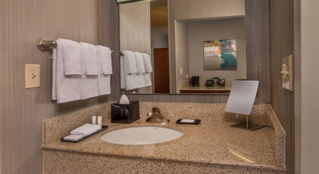 Номер Deluxe Sonesta Select Arlington Rosslyn
