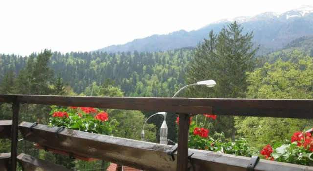 Номер Standard Hotel Piatra Soimului