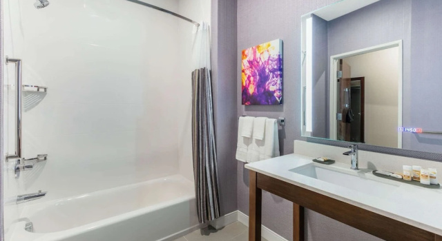 Двухместный номер Standard La Quinta Inn & Suites by Wyndham Lewisville