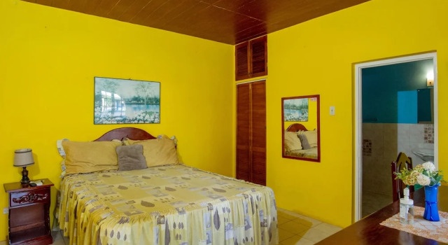 Номер Deluxe Waterloo Guest House