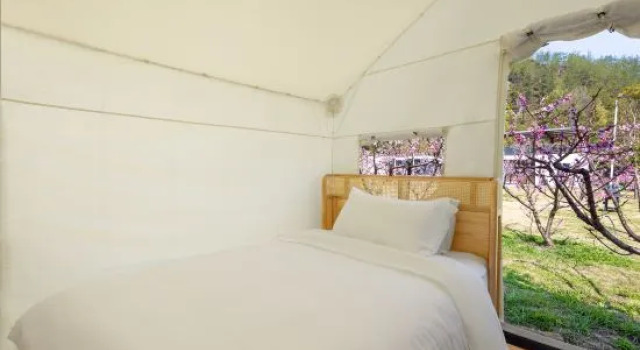 Семейный тент Xianju county qiye camping base
