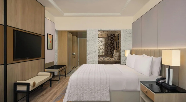 Номер Premier Le Meridien, Surat