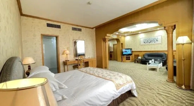 Люкс Puyang Hotel