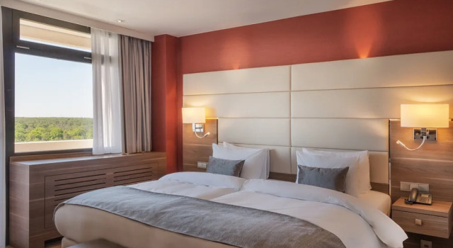 Двухместный люкс Crowne Plaza Crowne Plaza Frankfurt Congress Hotel by IHG