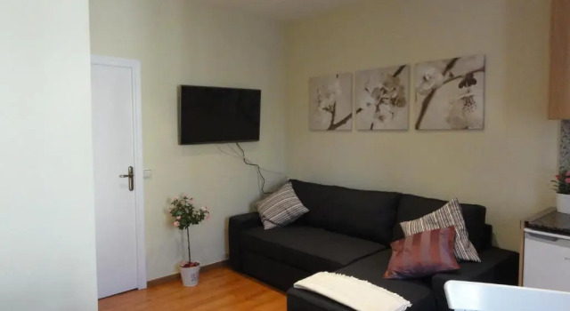 Апартаменты c 1 комнатой Apartamentos Barcelona - Iberia